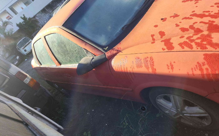 GM/VECTRA CD — foto 4 de 4