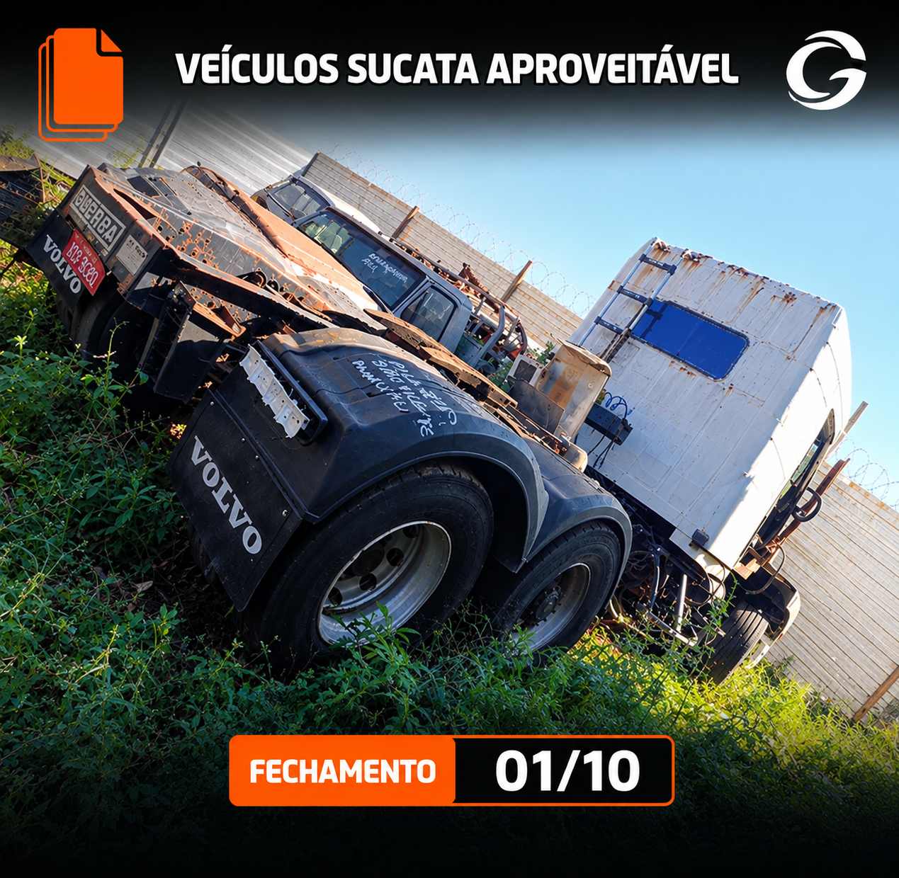 Banner do leilão